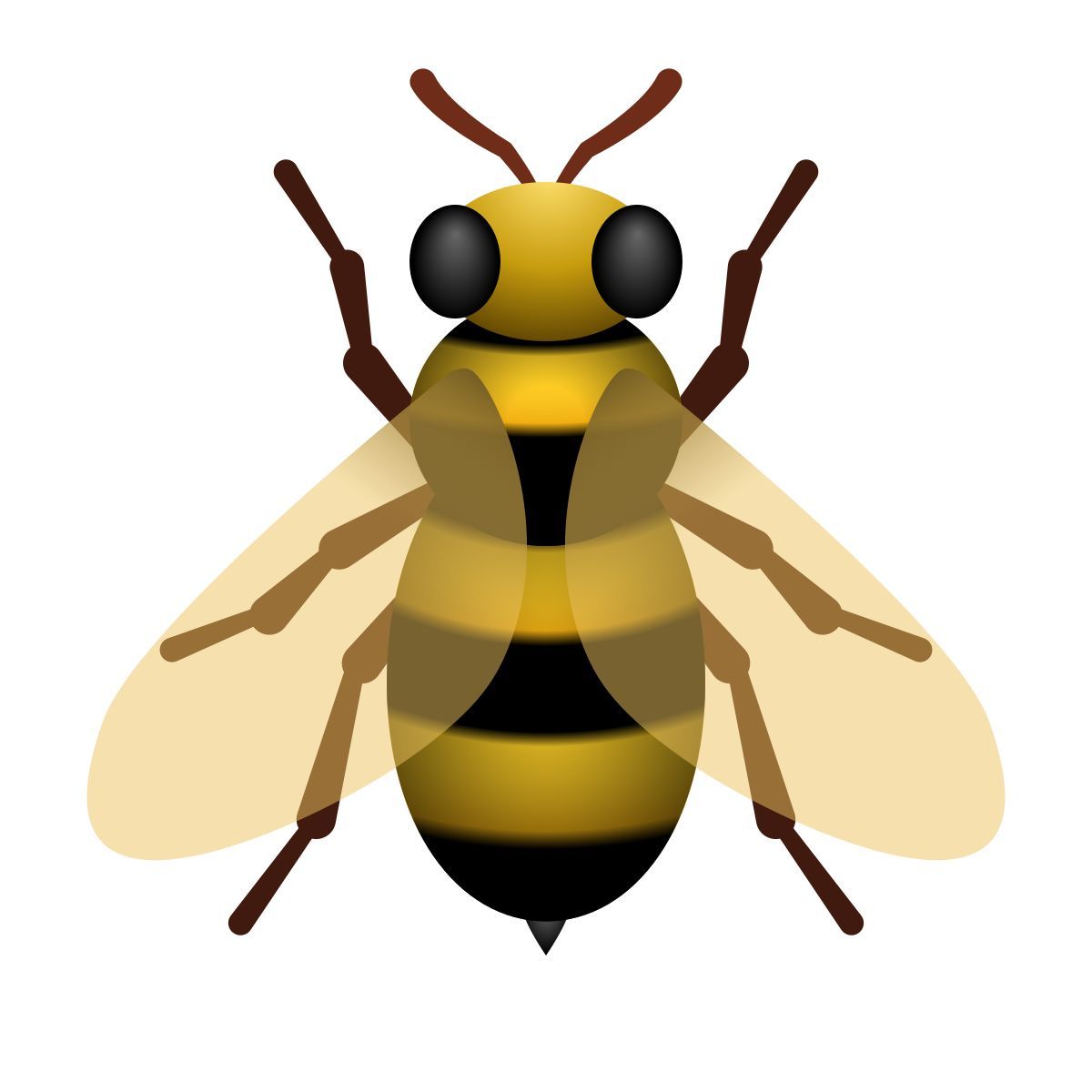 乐谱岛音符空间
